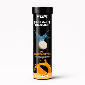 Shilajit Brausetabletten